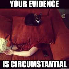 circumstantil evidence cat